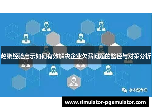 赵鹏经验启示如何有效解决企业欠薪问题的路径与对策分析 赵鹏经验启示如何有效解决企业欠薪问题的路径与对策分析
