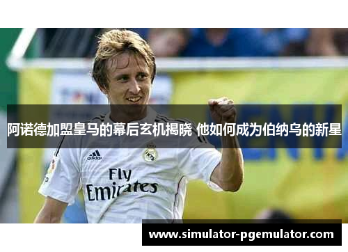 阿诺德加盟皇马的幕后玄机揭晓 他如何成为伯纳乌的新星 阿诺德加盟皇马的幕后玄机揭晓 他如何成为伯纳乌的新星