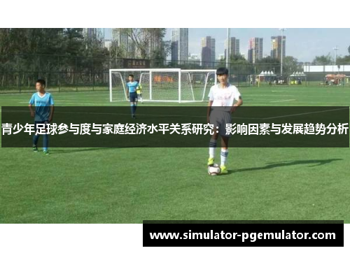 青少年足球参与度与家庭经济水平关系研究：影响因素与发展趋势分析