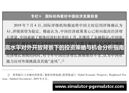 高水平对外开放背景下的投资策略与机会分析指南