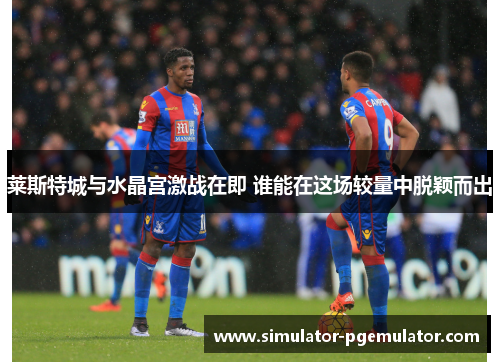 莱斯特城与水晶宫激战在即 谁能在这场较量中脱颖而出