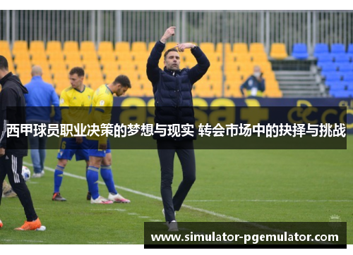 西甲球员职业决策的梦想与现实 转会市场中的抉择与挑战