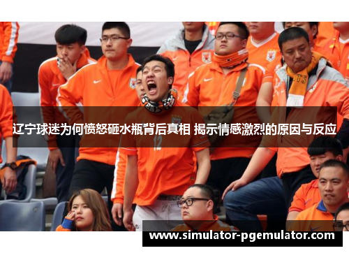 辽宁球迷为何愤怒砸水瓶背后真相 揭示情感激烈的原因与反应