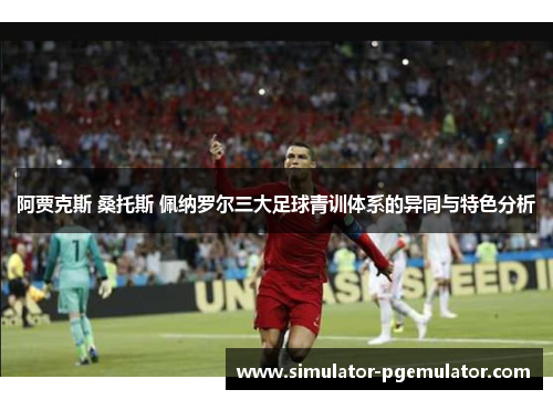 阿贾克斯 桑托斯 佩纳罗尔三大足球青训体系的异同与特色分析