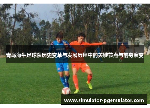 青岛海牛足球队历史变革与发展历程中的关键节点与前身演变