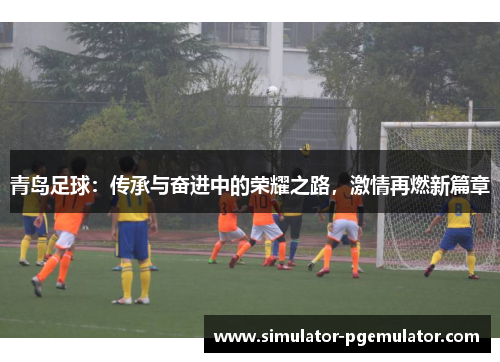 青岛足球：传承与奋进中的荣耀之路，激情再燃新篇章