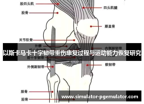 以斯卡马卡十字韧带重伤康复过程与运动能力恢复研究 以斯卡马卡十字韧带重伤康复过程与运动能力恢复研究