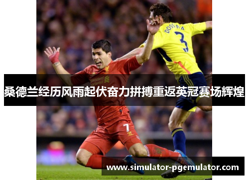 桑德兰经历风雨起伏奋力拼搏重返英冠赛场辉煌 桑德兰经历风雨起伏奋力拼搏重返英冠赛场辉煌