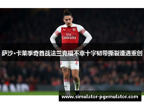 萨沙·卡莱季奇首战法兰克福不幸十字韧带撕裂遭遇重创 萨沙·卡莱季奇首战法兰克福不幸十字韧带撕裂遭遇重创