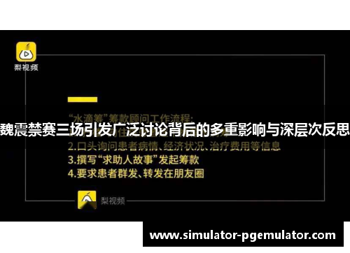 魏震禁赛三场引发广泛讨论背后的多重影响与深层次反思