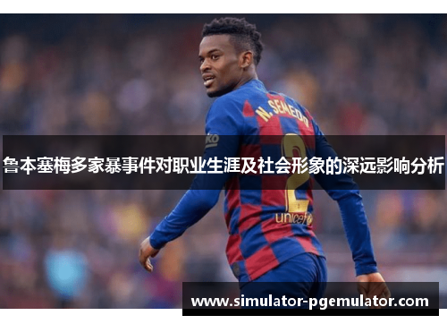 鲁本塞梅多家暴事件对职业生涯及社会形象的深远影响分析