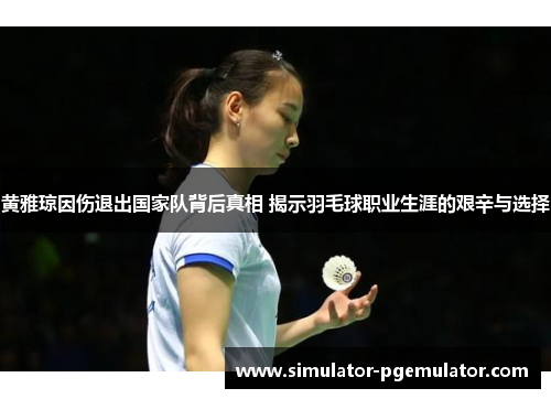 黄雅琼因伤退出国家队背后真相 揭示羽毛球职业生涯的艰辛与选择